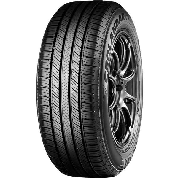 GEOLANDAR CV G058